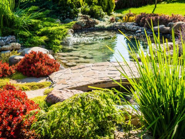 Landscape Design Ga Landscape Design Ga