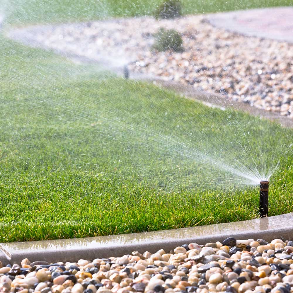 Irrigation System Augusta